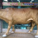 파주축산한우마을 이미지
