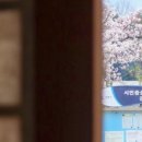 소나무한약국 이미지