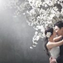 환 스튜디오 이미지