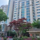 쌍용동일하이빌아파트 이미지