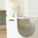 센디자인연구소 이미지