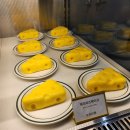 일중로 | 일산 아이랑 가볼만한곳 아쿠아가든 일산점 5번째 방문 후기｜먹이주기 체험·곰돌이 케이크까지