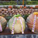 하동슈퍼 이미지