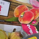 마감)황도 5박스 판매 이미지