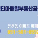 경보공인중개사사무소 이미지