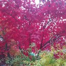 북부보건지소 이미지