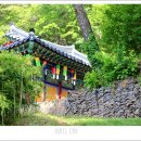 현리 무량사(縣里 無量寺) | 부처님 오신날 다음날 찾았던 무량사