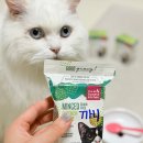 더써니스트 | 고양이 습식 사료 디어니스트키친 캣 민스드 그레인프리 치킨 레시피 기호성최고