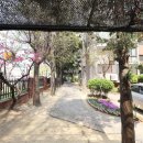 롯데일등공인중개사사무소 네이버블로그
