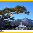 국립대전현충원 Daum카페