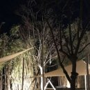 자연의 미학 이미지