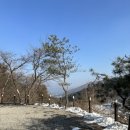 [마운틴뷰] 남양주캠핑장 포레스트벨리 캠프