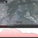 황령산 편백단지 이미지