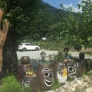 정선그림바위민박 이미지