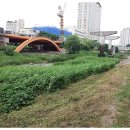 희망메디컬 이미지