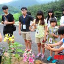 (주)미디어플러스 이미지