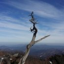 (주)태백산건축 이미지