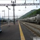 신리할머니 이미지