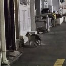 감천문화마을 공중화장실 이미지