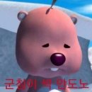 스위트인디아 이미지