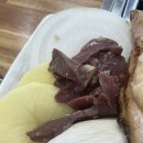 현이양이 이미지