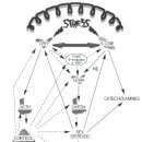 알로스테시스와 한의학(10)-7. 알로스테시스와 무월경 이미지