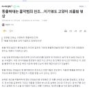 동물학대는 흉악범죄 전조…이기영도 고양이 괴롭힘 영상 이미지