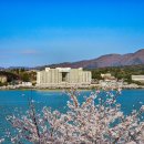 세븐일레븐 경주보문점 이미지