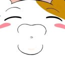 훈훈하개 이미지