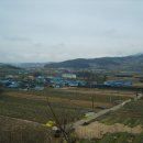 백신1리 이미지