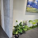 김녕별장 | 제주 키즈프렌들리 독채숙소 "김녕별장" 강력추천 feat.돌아기