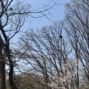 행복을나누는도시락 | 도심 속 한복판에서 느낄 수 있는 힐링 선릉의 정릉 방문 후기