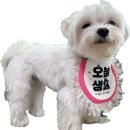 바르댕 네이버블로그