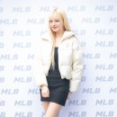 리즈 이미지