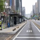 제이씨 안전 이미지