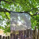 달트빌라코티지 이미지