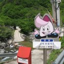 옥녀탕유원지 이미지