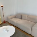 플랜트란스일산 | 젝슨카멜레온 성수 쇼룸, 에싸 일산직영점 방문 후기