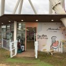 카페미밍코 | 🐶 울산 애견카페 미밍코 재방문 후기 300평 잔디운동장 &amp; 포토존까지 완벽