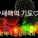 다이루세 이미지