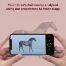 (주)에이아이포펫 이미지