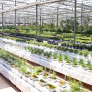 해오름농장-2 이미지