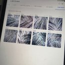 예술회관역 5번출구 | 인천 예술회관역 근처 구월동 두피케어 헤어스파 후기✨ 온무드