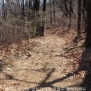 석성산 등산로 이미지