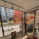 네일아트&속눈썹익스텐션 | 망포역 네일 쥬에르네일속눈썹 11월 아트 후기