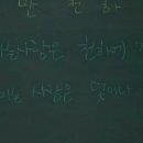 목련양과