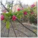 진심인공인중개사사무소 이미지