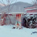 소백산 용소 농장 이미지