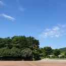 실바람 이미지