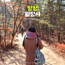 영신숲길3 | 평창 오대산 월정사 전나무숲길 주차 겨울 후기